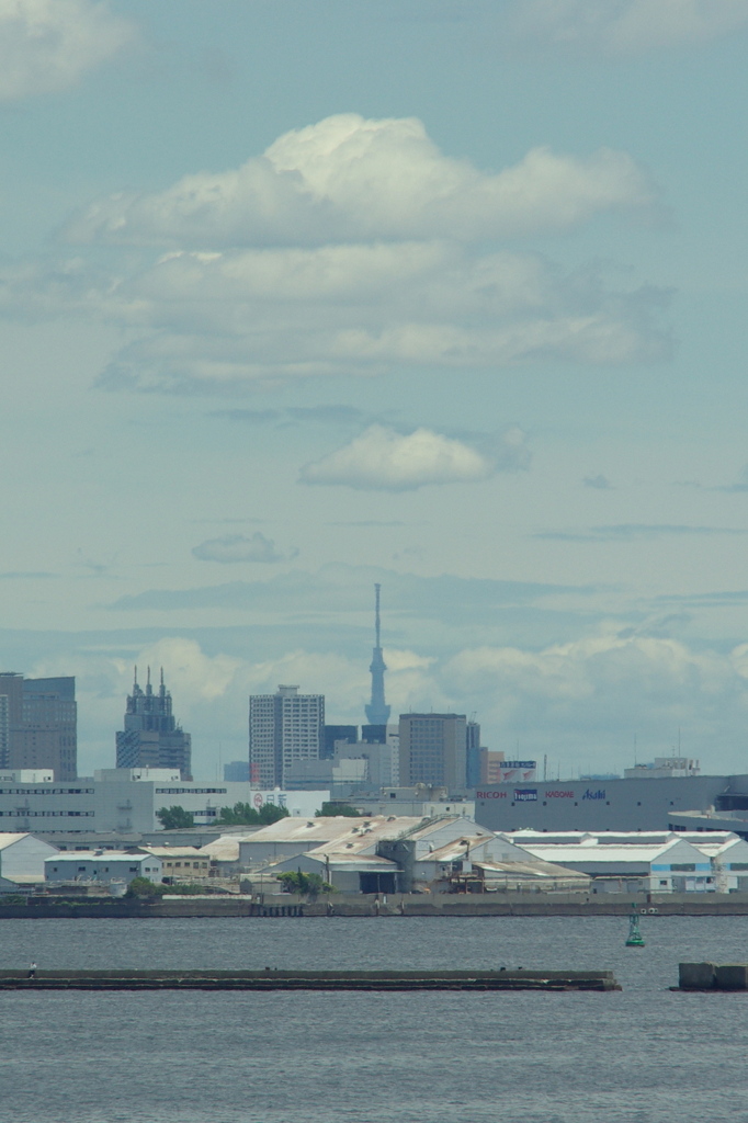 横浜大桟橋から