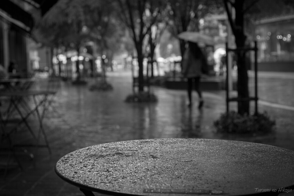 霧雨の街