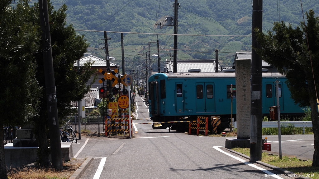 紀州　初夏の風吹く