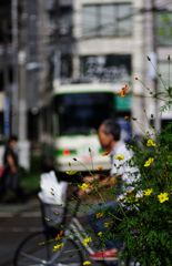 ちんちん電車