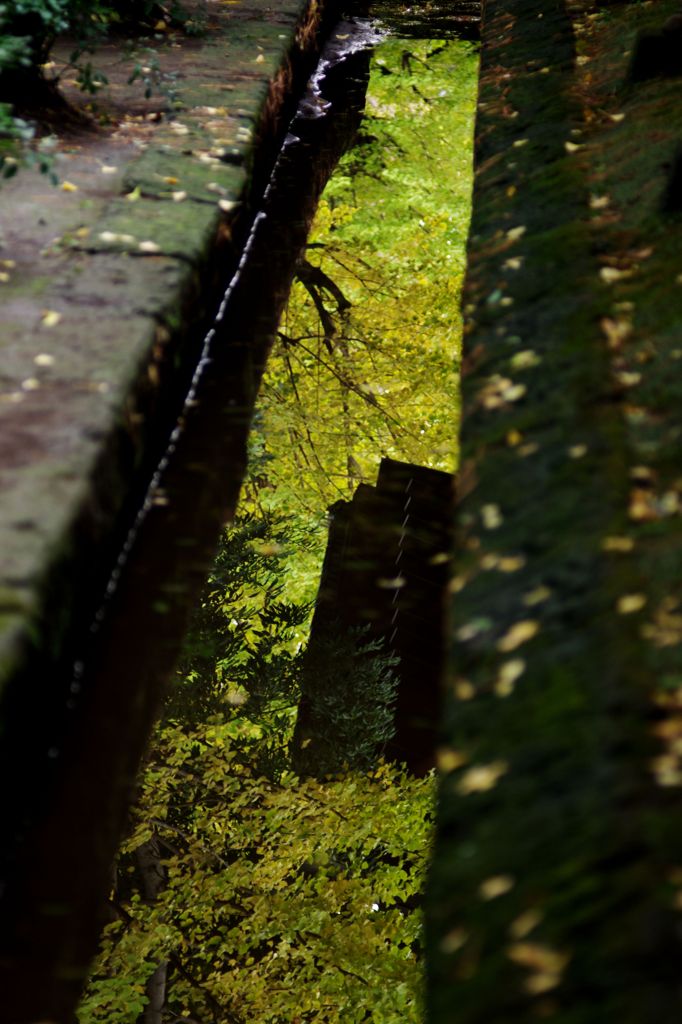 總持寺　秋風景#01