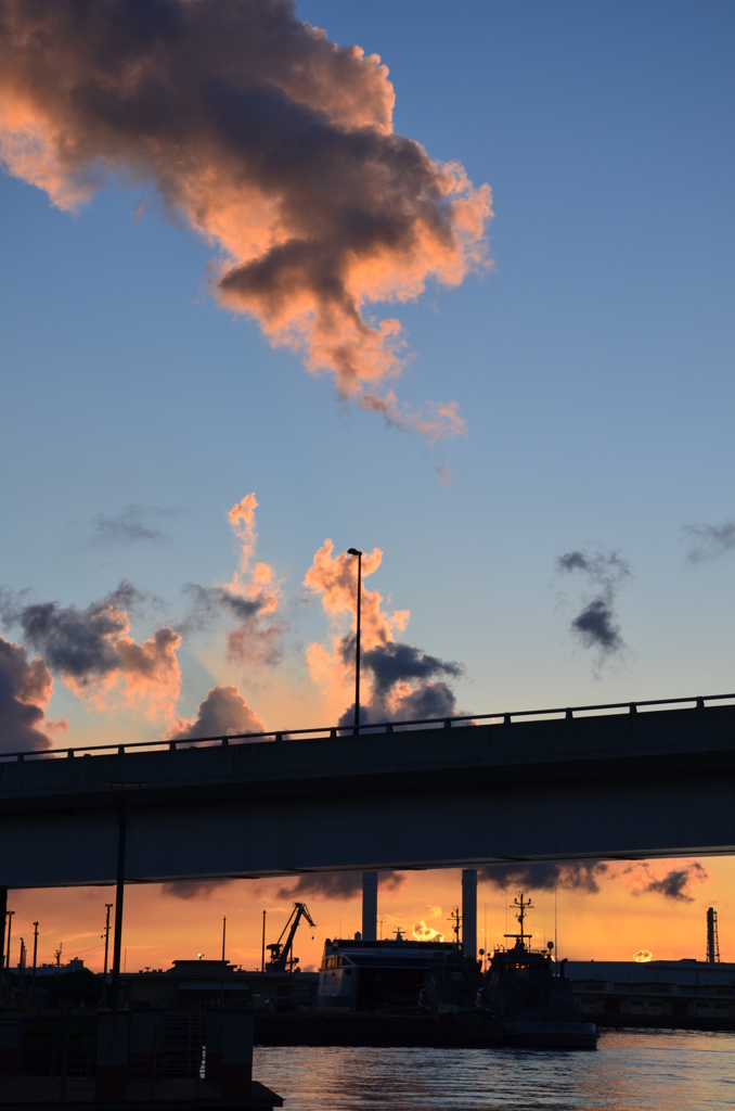 Cotton harbor twilight