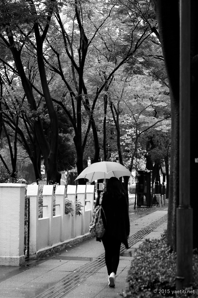 Rain  Yokohama  monochrome