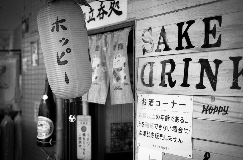散歩のお供に