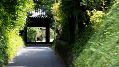 瑞泉寺への路