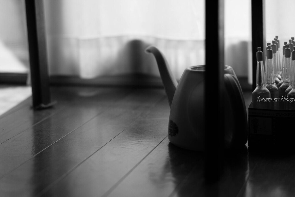 娘がやって来る日