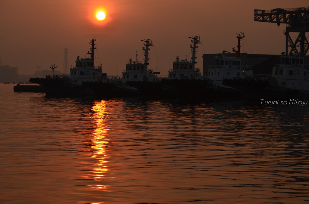 いつだって優しい Yokohama の海