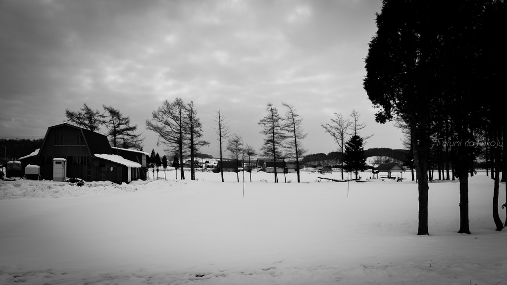 朝の通り道