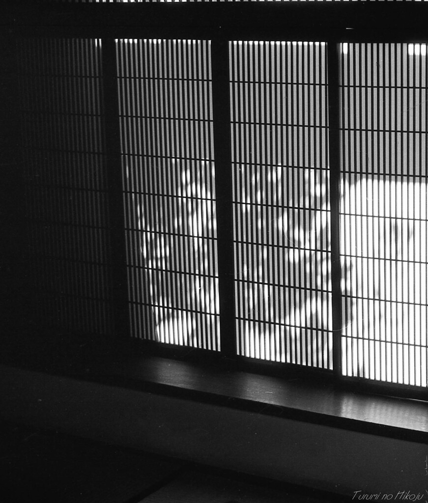 障子　秋の陰影を映す