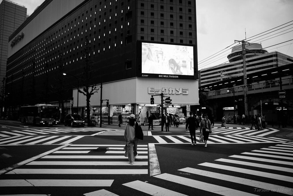Hibiya walk 2025