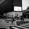Hibiya walk 2025