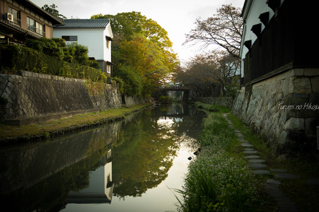 掘割の朝