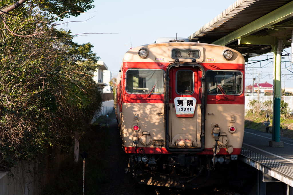 夷隅