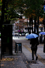 横浜の　秋雨と落葉とアンブレラ・・・