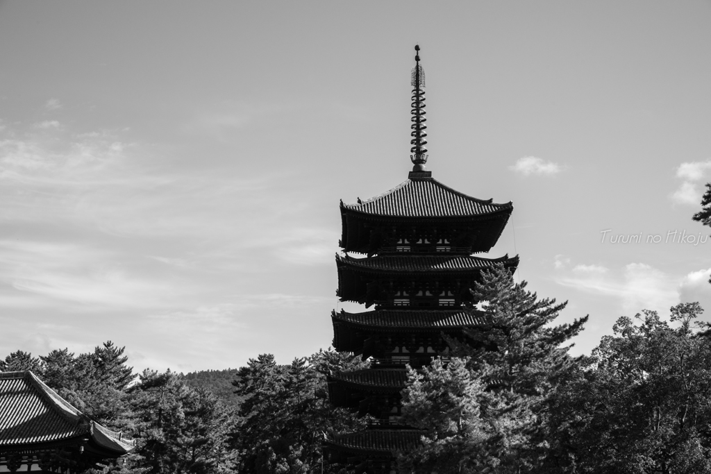 修学旅行で