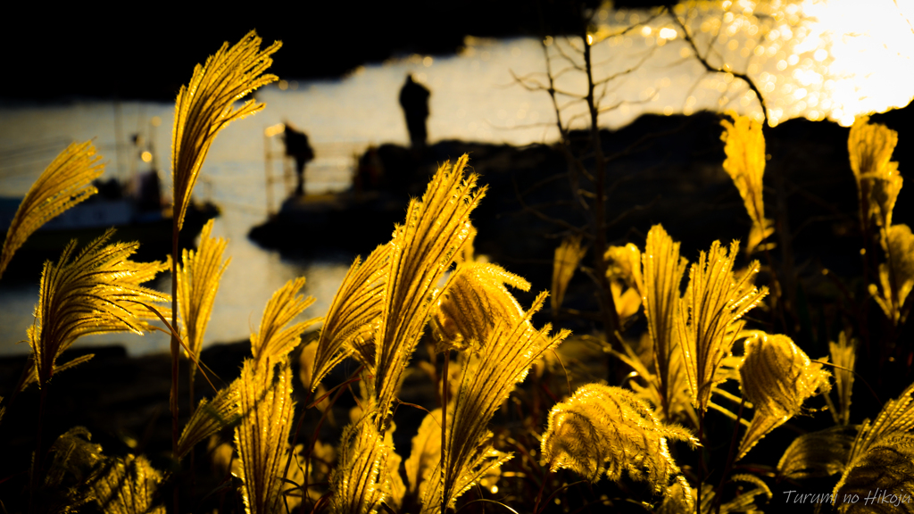 海風と秋光と