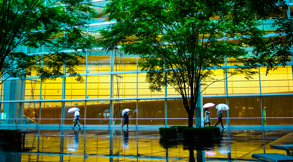 雨に映る街角