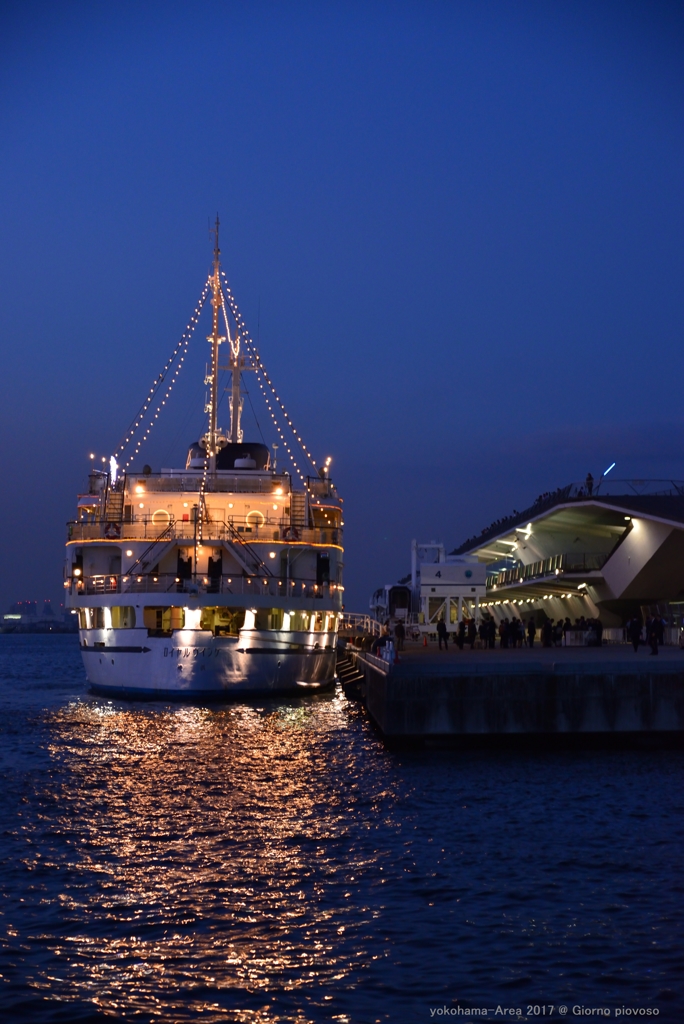 yokohama Blue