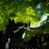 初夏　總持寺