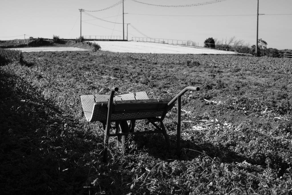 Farm