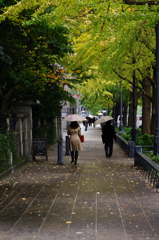 秋雨と落葉とアンブレラ