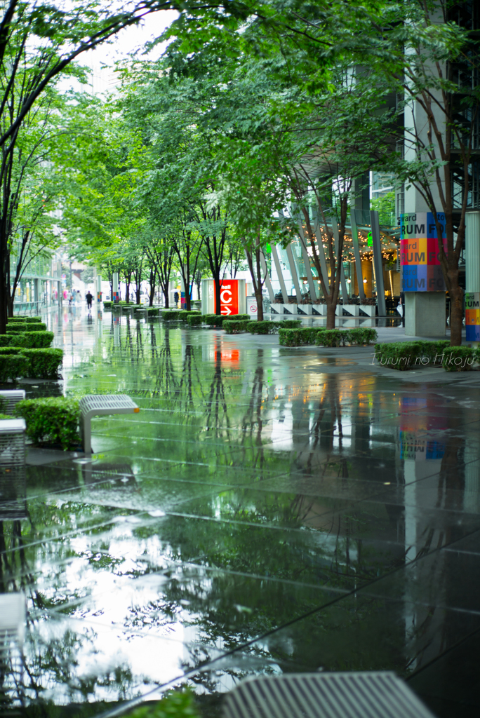 静かな雨の日
