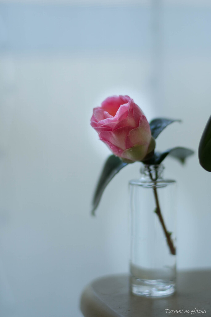 一番花は君に