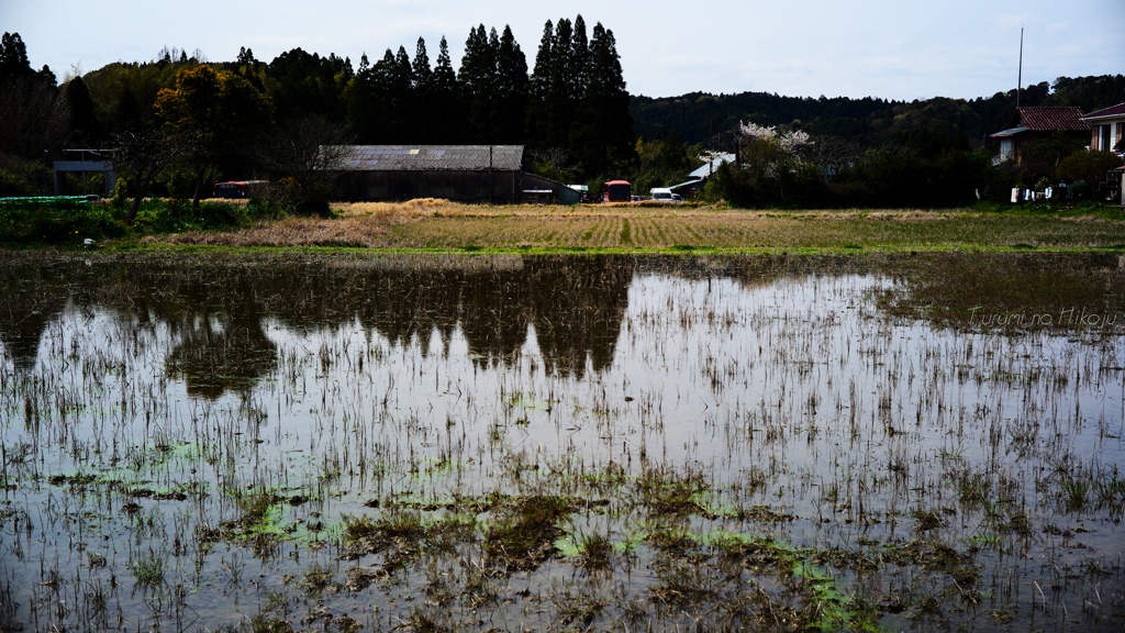 水温む