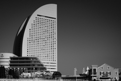 何回、撮ってきただろう