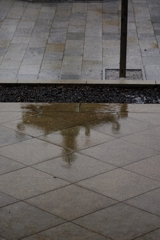 寄り道　雨宿り