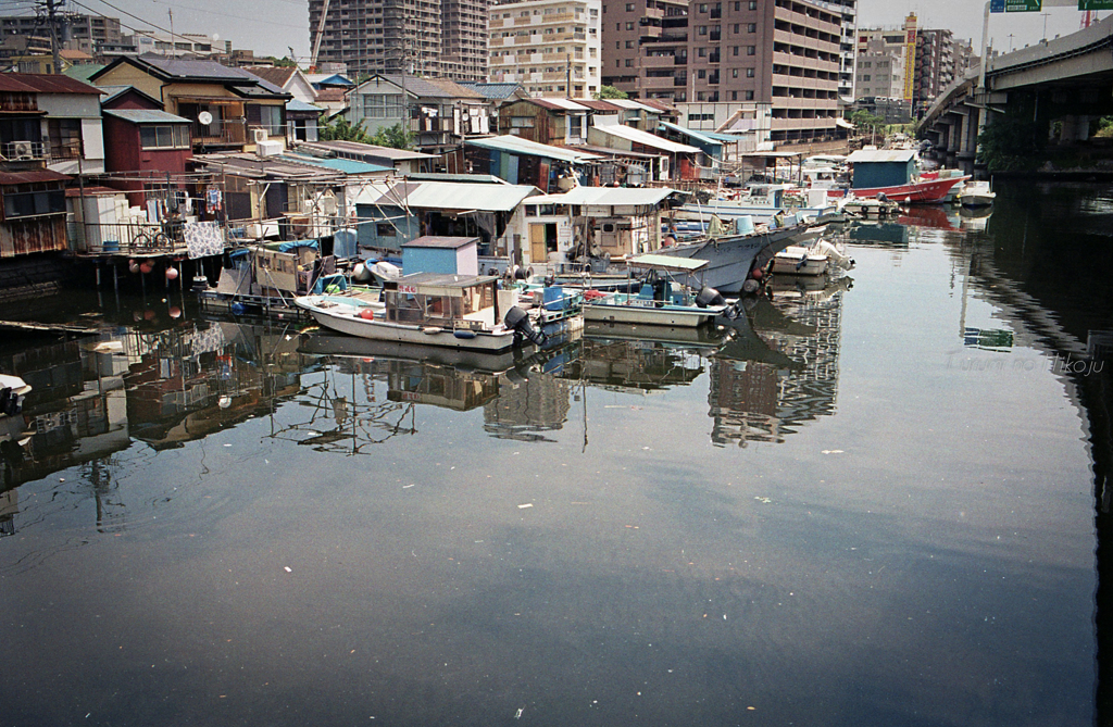 子安の海