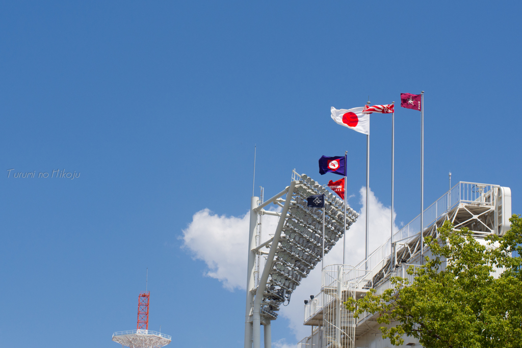 球児達の夏