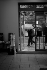 行き交う雨傘を眺めて