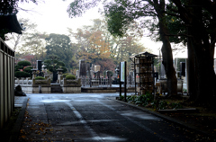 霧雨　總持寺