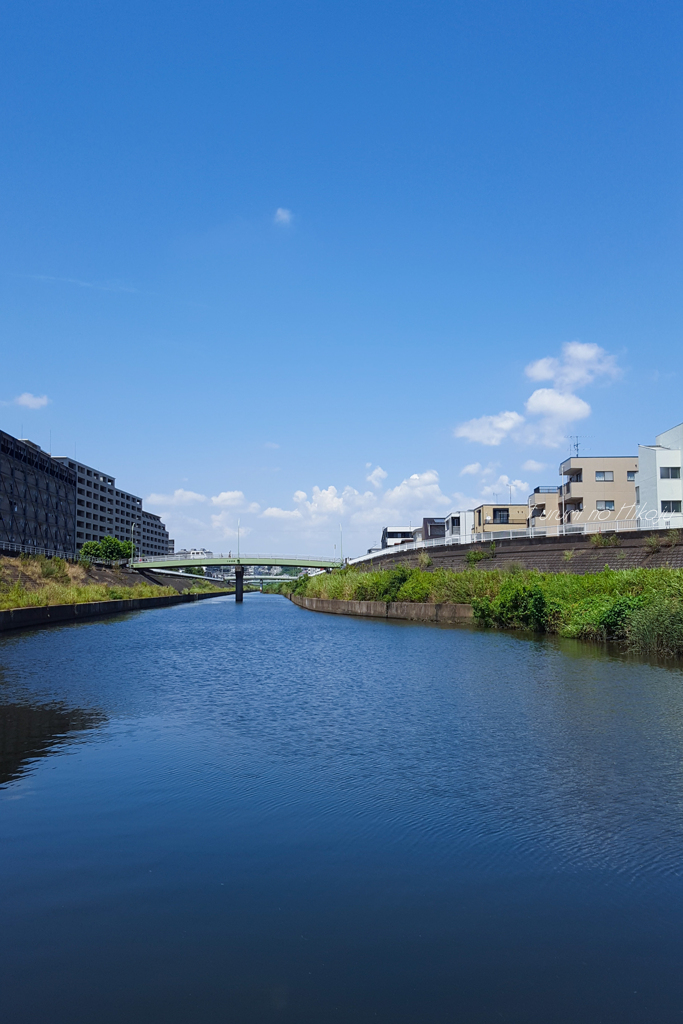 Run&Gun Hayabuchi-river