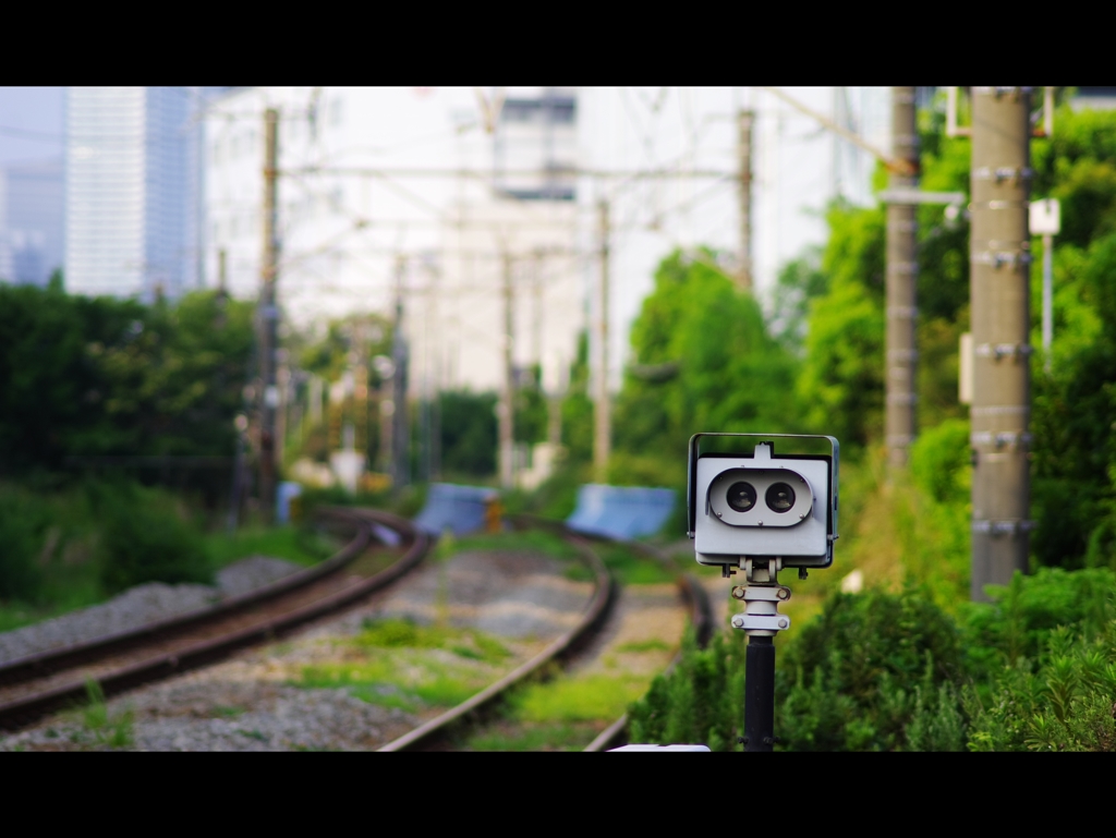 眼（まなこ）