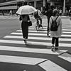 日傘は必須ですね