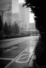 霧雨に煙る街