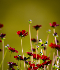 冬の公園で・・・