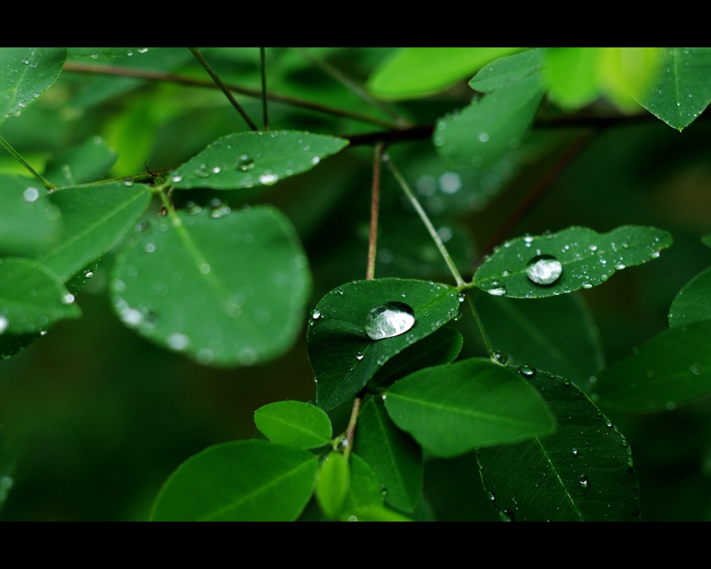 總持寺　梅雨模様 3