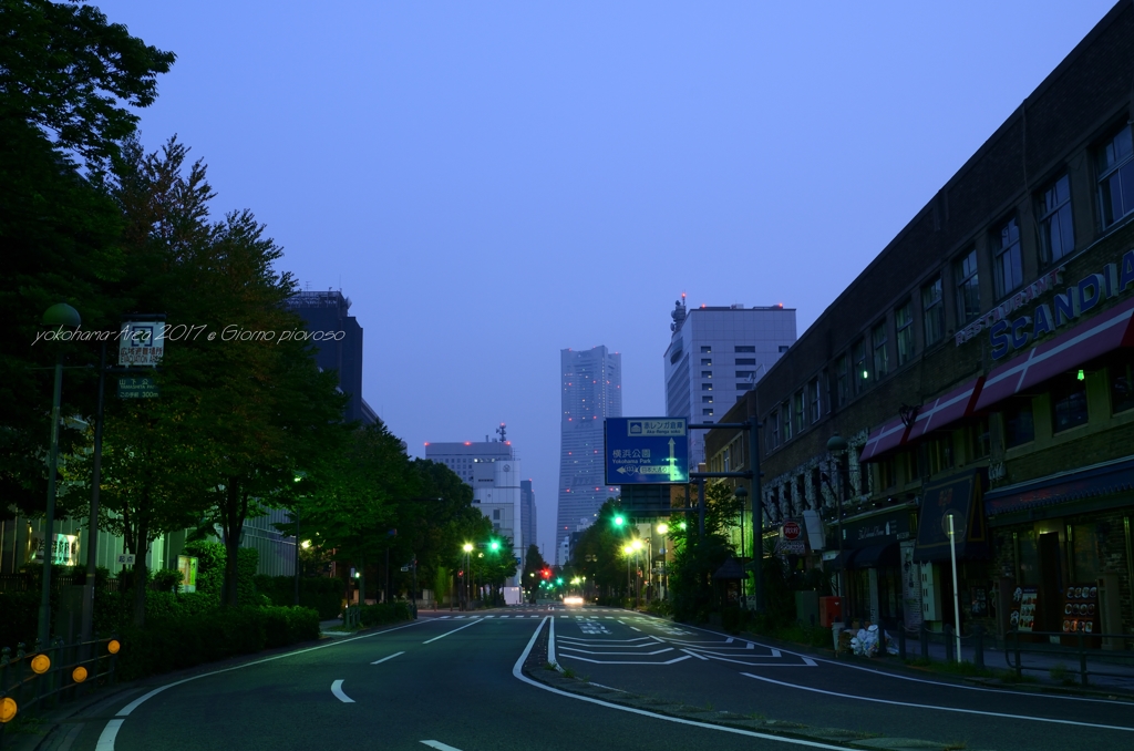 yokohama の朝が明けて