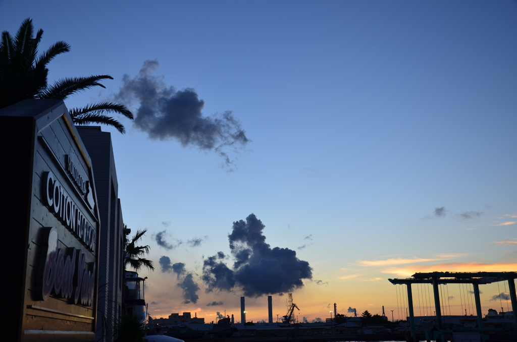 Cotton harbor twilight