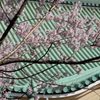 總持寺　春景色 01
