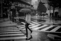 雨の日を楽しんで