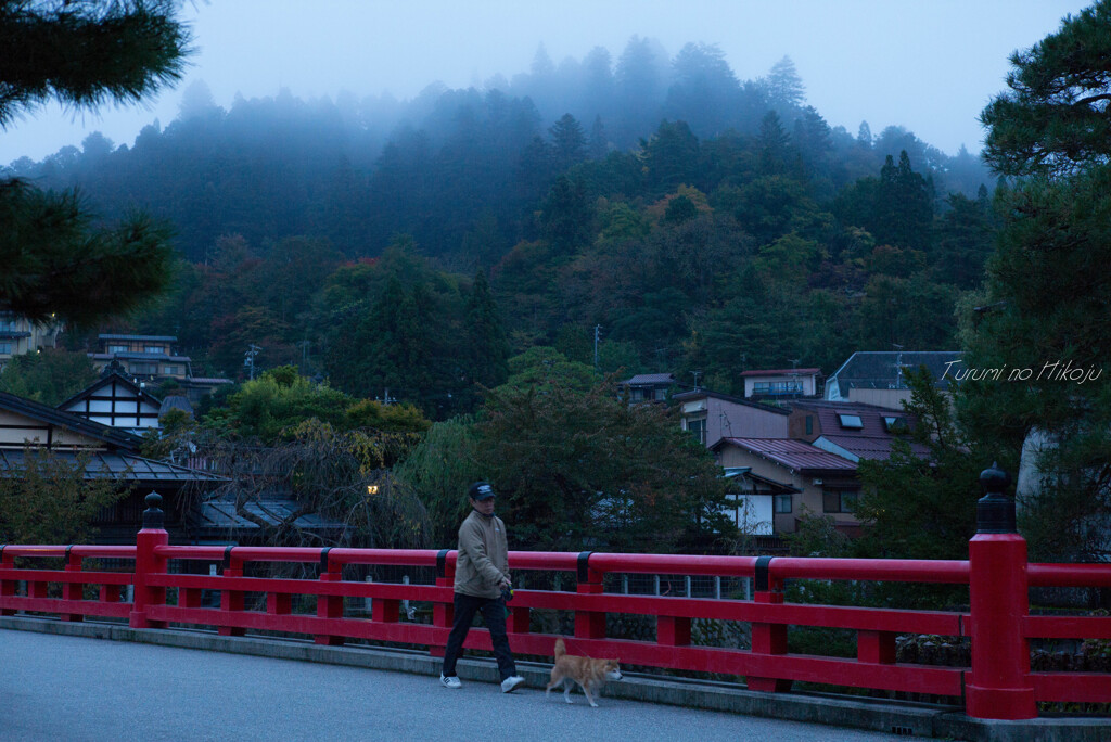 朝霧に煙る