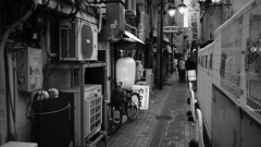 路地裏に戯れて