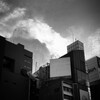 春の天気は・・・
