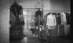 もう春の香りが・・・