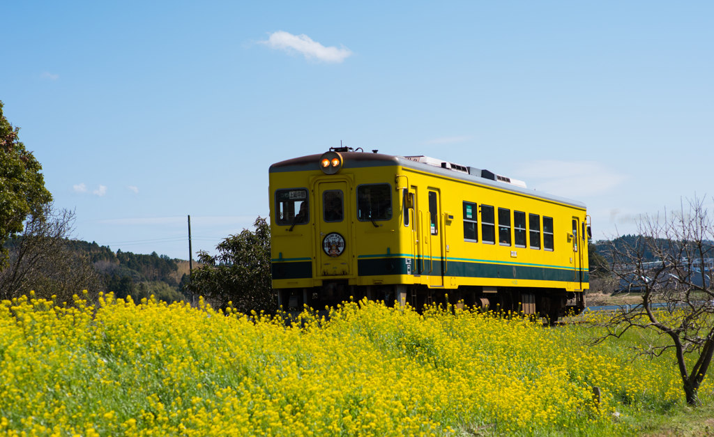 Spring Railway