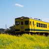 Spring Railway
